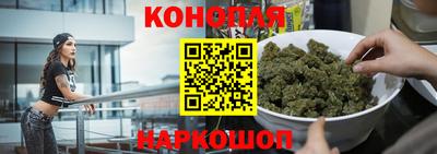 прущие крисы Гай