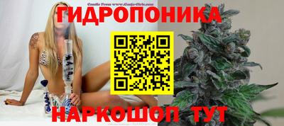 прущие крисы Гай
