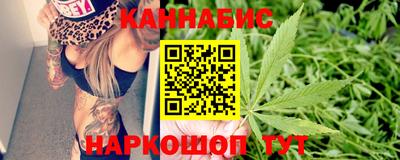прущие крисы Гай