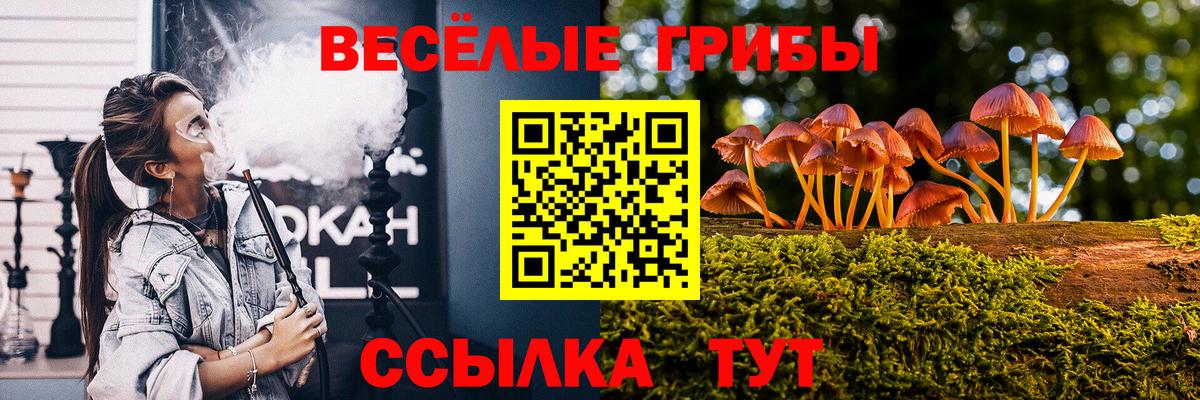 Псилоцибиновые грибы MAGIC MUSHROOMS Москва