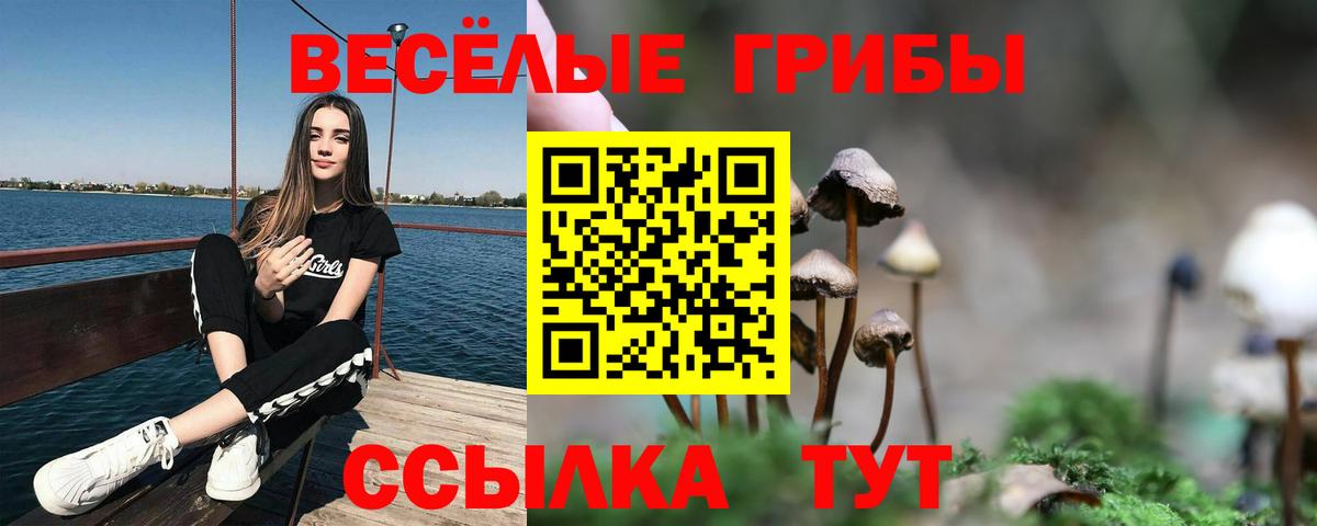 Москва  Галлюциногенные грибы мухоморы  Вход с VPN 
